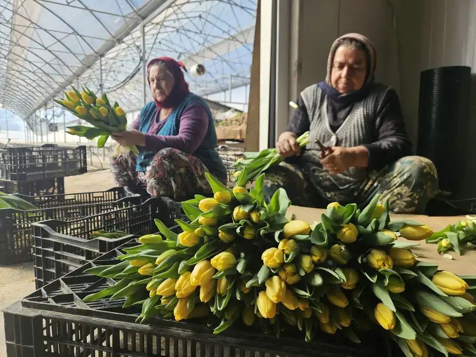 Antalya’nın Gururu Suda Laleler Kadınlar Günü'ne Hazır 9